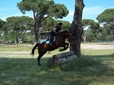 ACSI TOSCANA: CAMPIONATO E MANIFESTAZIONI EQUESTRI 2018