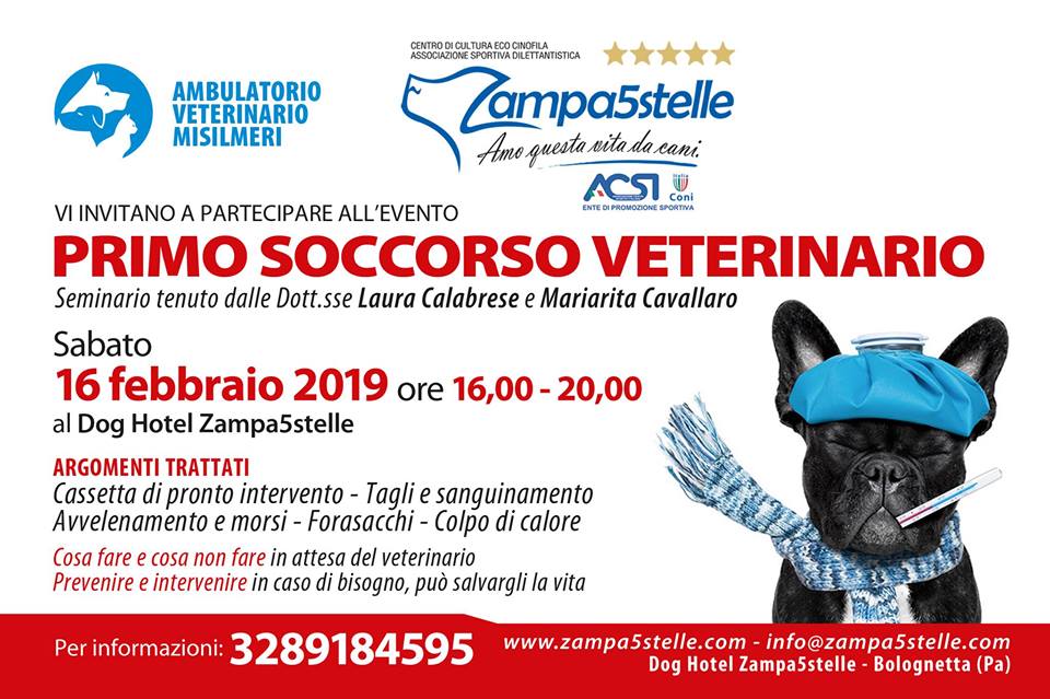 CINOFILIA, SEMINARIO DI PRIMO SOCCORSO VETERINARIO