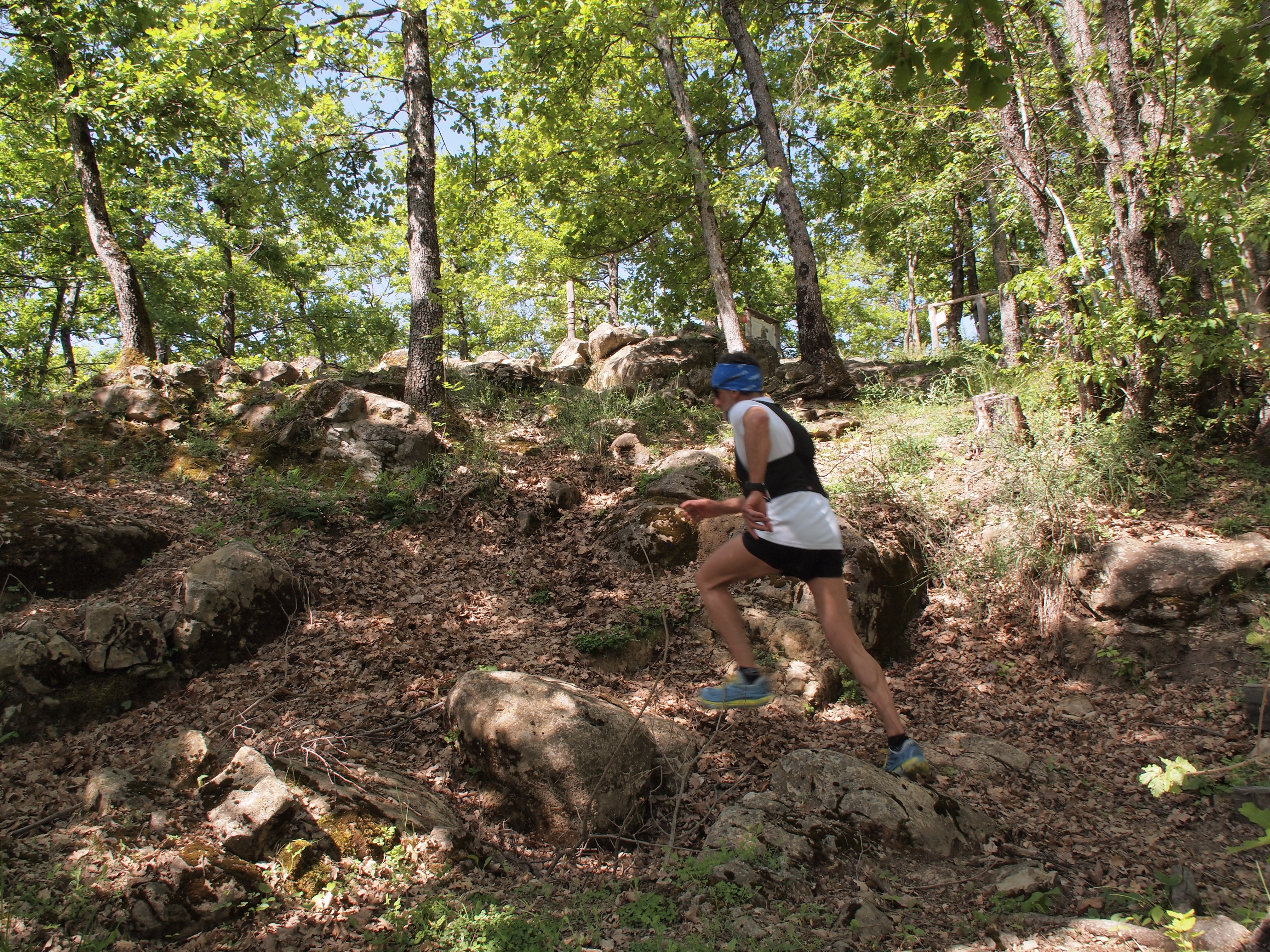 TRAIL RUNNING DA MONTE BIBELE A MONTERENZIO LUNGO L’ANTICA VIA DEI CELTI
