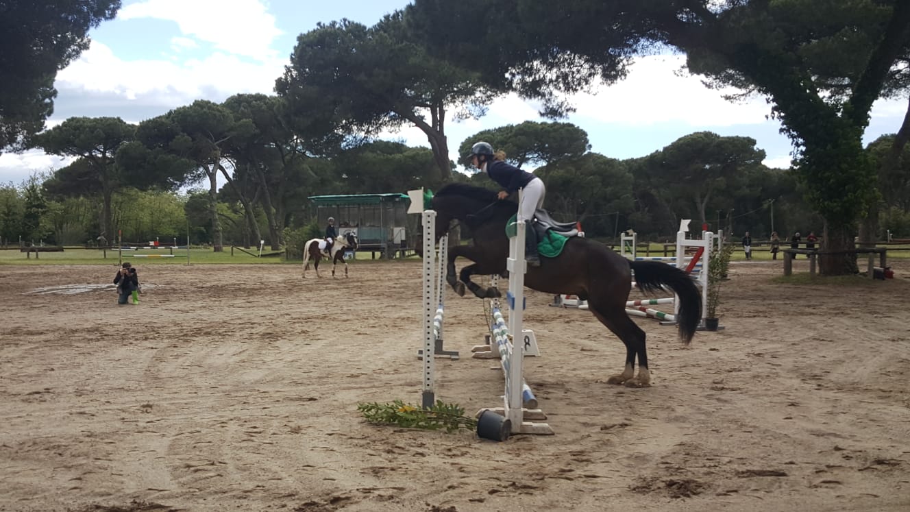 EQUITAZIONE TOSCANA, CORSI DI QUALIFICA NAZIONALE ISTRUTTORE MONTA INGLESE/WESTERN